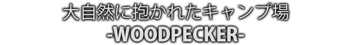 大自然に抱かれたキャンプ場WOODPECKER